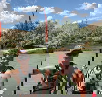 Surfin In The Rockies Duckie Tours - Accommodation Dallas