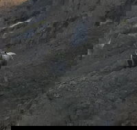 PET FRIENDLY PRIVATE Tour to Yellowstone National park - Accommodation Dallas