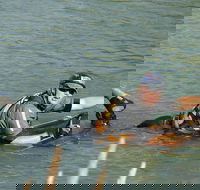 Red Canyon River Trips 100pm - Accommodation Dallas