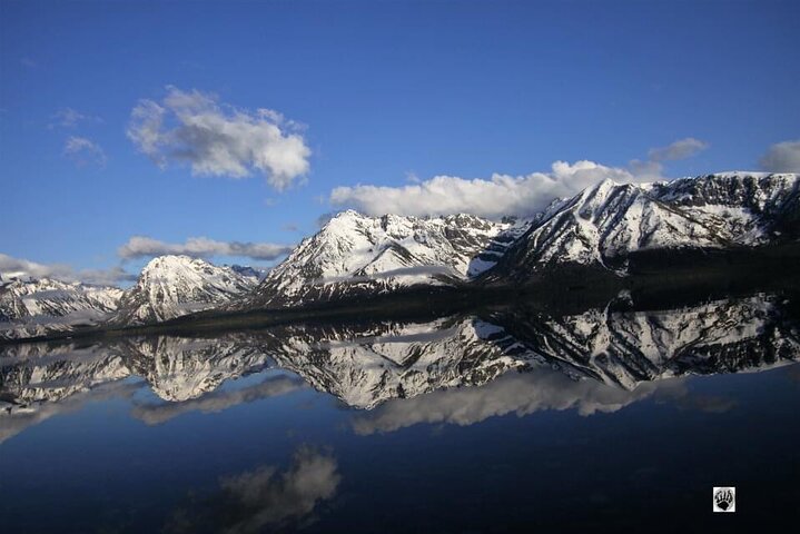 Small Group Tours Of The Lower Loop Of Yellowstone - thumb 0