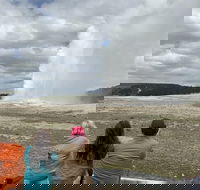 Yellowstone Open Air Tours by Cody Wyoming Adventures - Accommodation Dallas