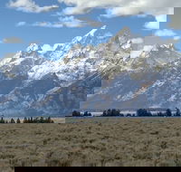 Grand Loop Yellowstone Wildlife and Photo Tour - Accommodation Dallas