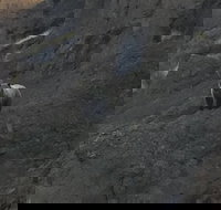 Yellowstones Upper Loop Tour smaller group sizes for better tour experience - Accommodation Dallas