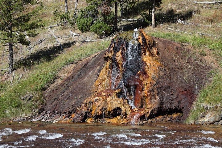 Yellowstoneâ€™s Upper Loop Tour (smaller Group Sizes For Better Tour Experience) - thumb 5