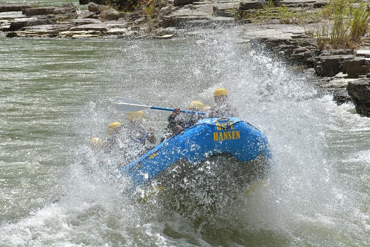 8-mile Whitewater Standard Raft In Jackson, Wyoming - thumb 1
