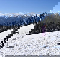 Hurricane Ridge Guided Snowshoe Tour in Olympic National Park - Accommodation Dallas