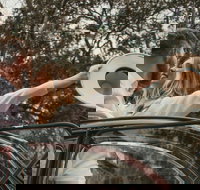 Private Historic Savannah Tour in a Vintage Citron - Accommodation Dallas