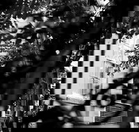 Genteel and Bard's Savannah Dark History and Ghost Walking Tour - Accommodation Dallas