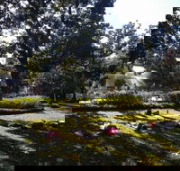 Yoga in Forsyth Park - Accommodation Dallas