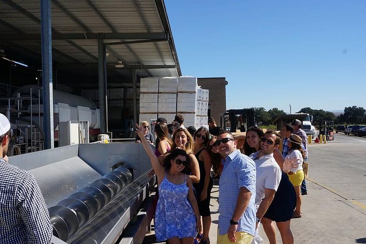 Private Wine Tasting Tour From Santa Ynez, Solvang Or Buellton! - thumb 1