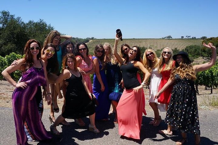 Private Wine Tasting Tour From Santa Ynez, Solvang Or Buellton! - thumb 4