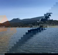 Private Denver and Foothills Mountain Tour - Accommodation Dallas