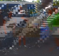 Grand Canyon Sightseeing Tour from Flagstaff - Accommodation Dallas