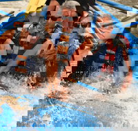 Classic Salt River Raft Trip - Accommodation Dallas