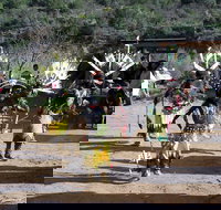 Half-Day Salt River Raft Trip - Accommodation Dallas