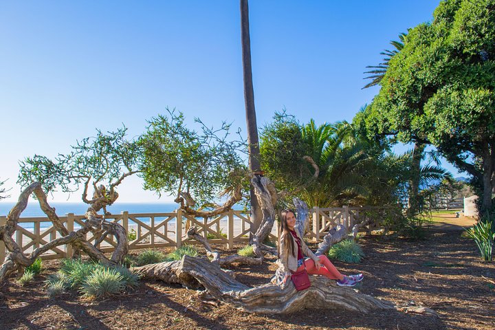 Self-Guided Tour Of Santa Monica In Los Angeles With Fun Facts And Photo Ops - thumb 3