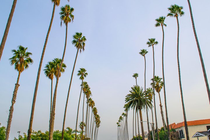 Self-Guided Tour Of Santa Monica In Los Angeles With Fun Facts And Photo Ops - thumb 5