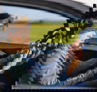 Historical Baltimore Self-Driving Sightseeing Audio Tour - Accommodation Dallas