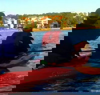 Dolphins and Wildlife Kayak Experience from Gulf Shores - Accommodation Dallas